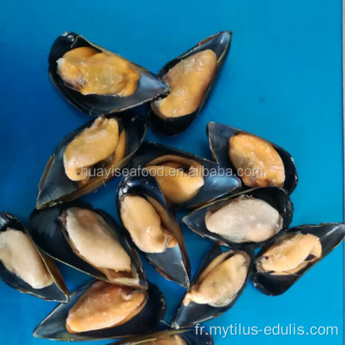 vente en gros chair de moules avec demi-coquillesfournisseur